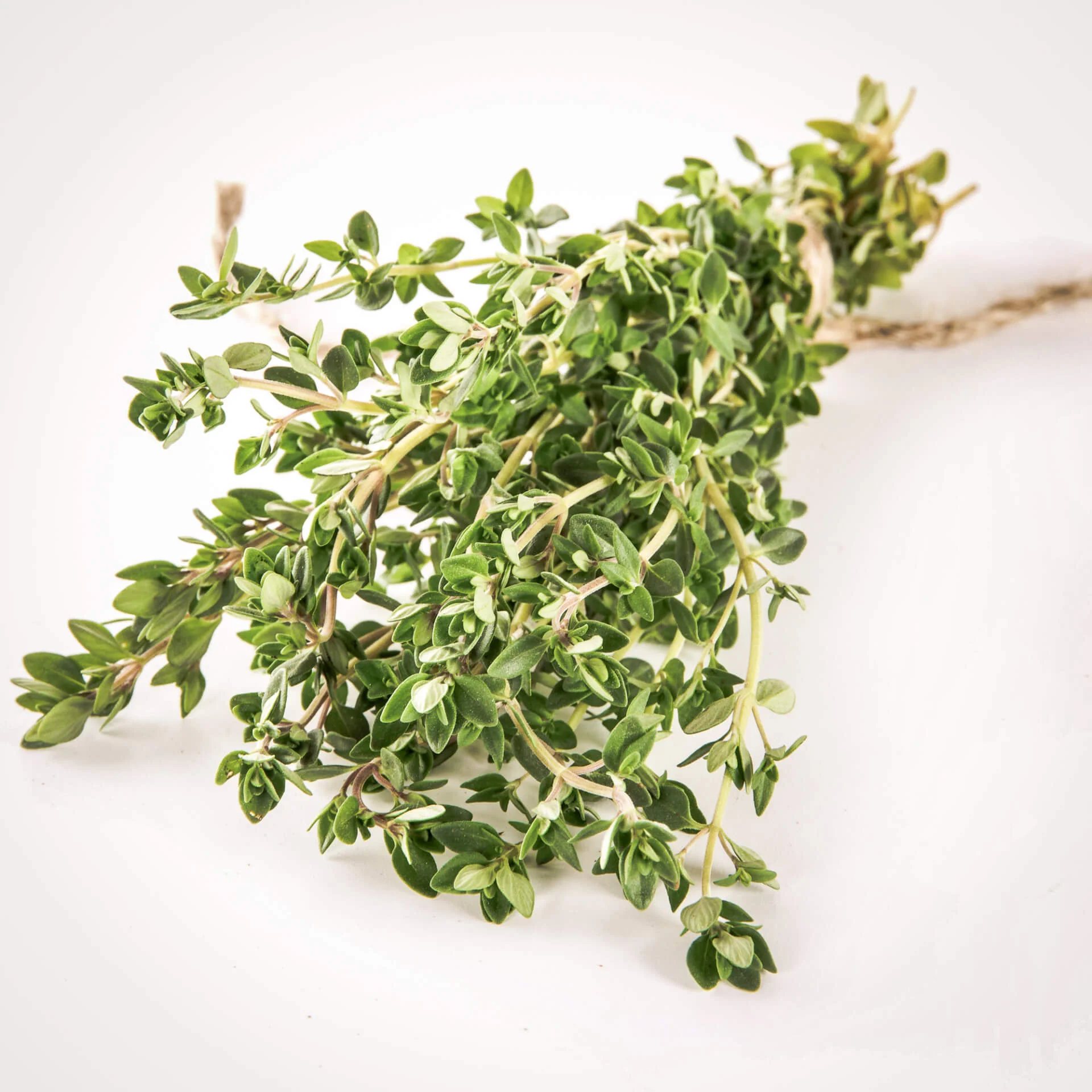 Ingredients for coquilles st jacques including fresh thyme on white background