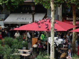 Sidewalk Cafe in Paris | TheCulinaryTravelGuide.com