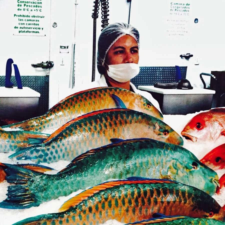 Fresh Seafood at the Mega Store in San Jose del Cabo