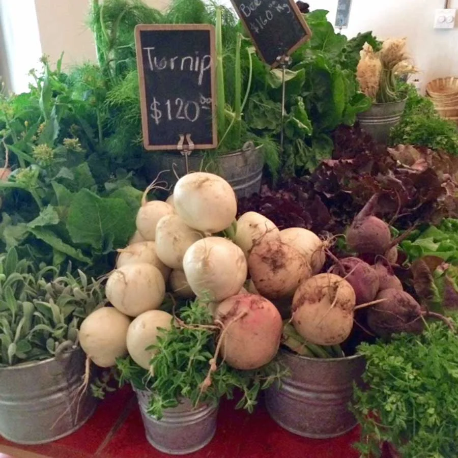 At the Organic Market in San Jose del Cabo