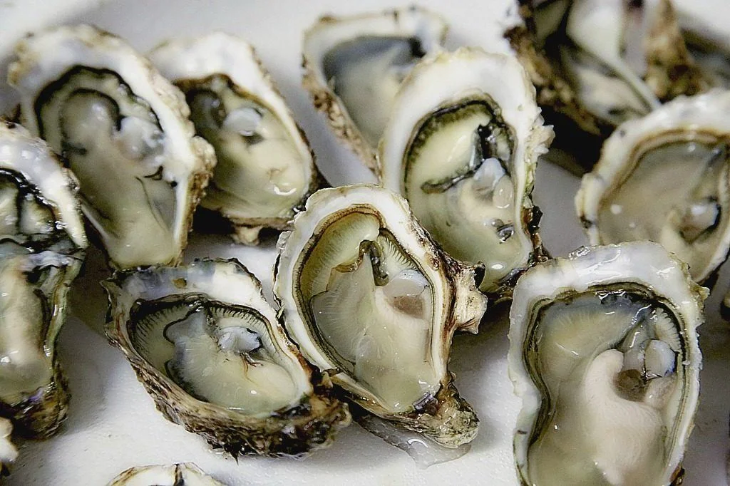 5 Foreign Delicacies You Simply Have to Try - Bluff Oysters