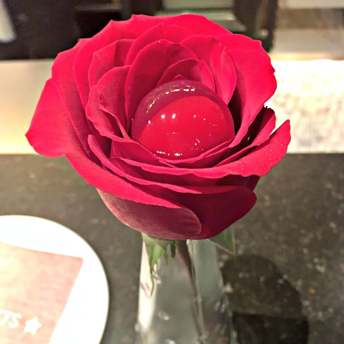 The Rose at Tickets Barcelona