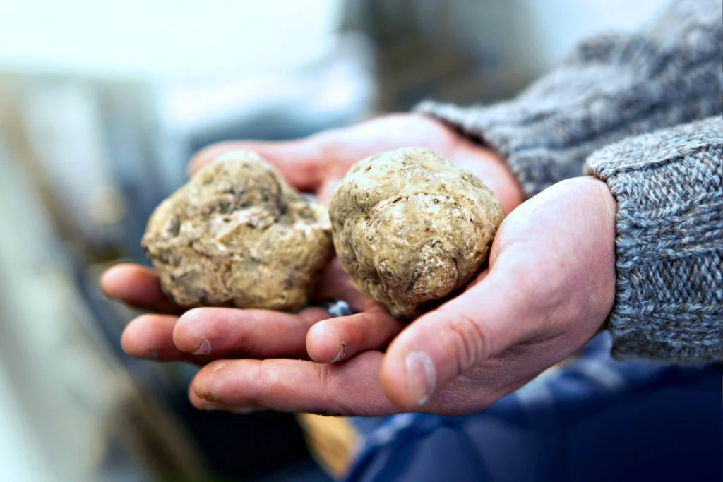 9 Exciting Culinary Adventures to Add to Your Bucket List