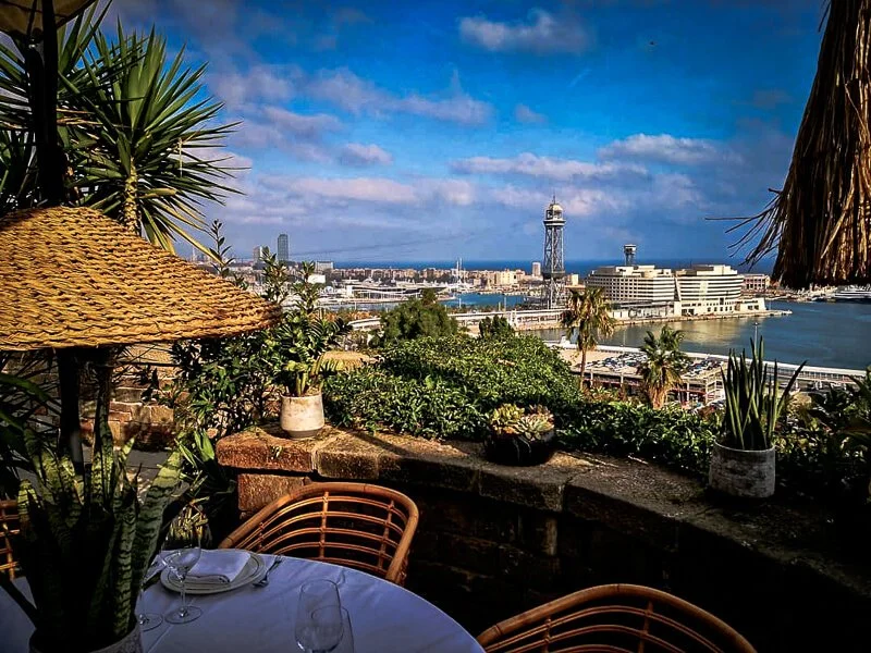 view of barcelona from terraza martinez restaurant