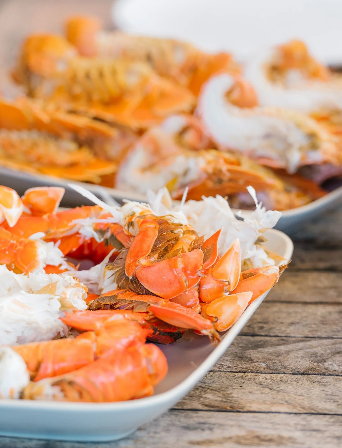 seafood lunch